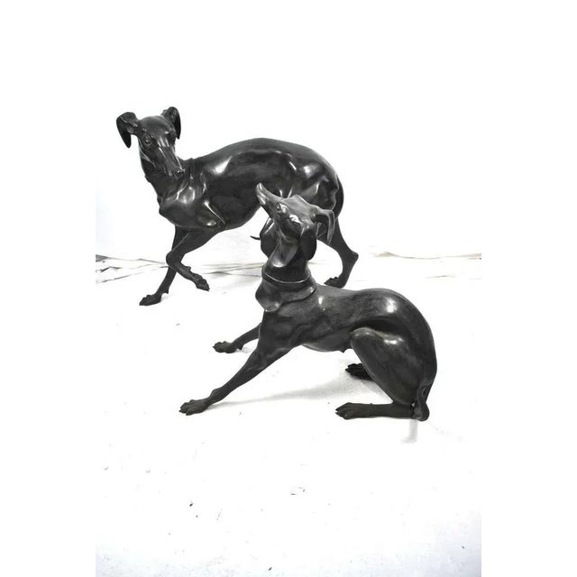 Large Bronze Greyhounds in Dominant Stance, 1960s, Set of 2 For Sale - Image 4 of 7