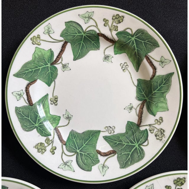 1940s Napoleon Ivy Wedgwood Plates - Set of 5 For Sale In Los Angeles - Image 6 of 8