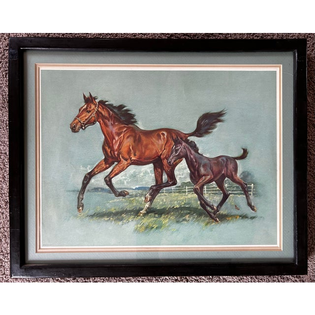 Impressionist Vintage 1961 Framed Print of a Horse Running With Colt For Sale - Image 3 of 8