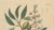 Amygdalus Communis, 1800s, Paper For Sale - Image 3 of 10