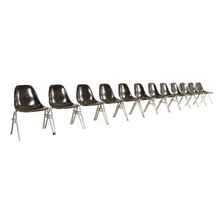 Charles & Ray Eames for Herman Miller DSS Seal Brown Stacking Shell Chairs | Set of Twelve For Sale