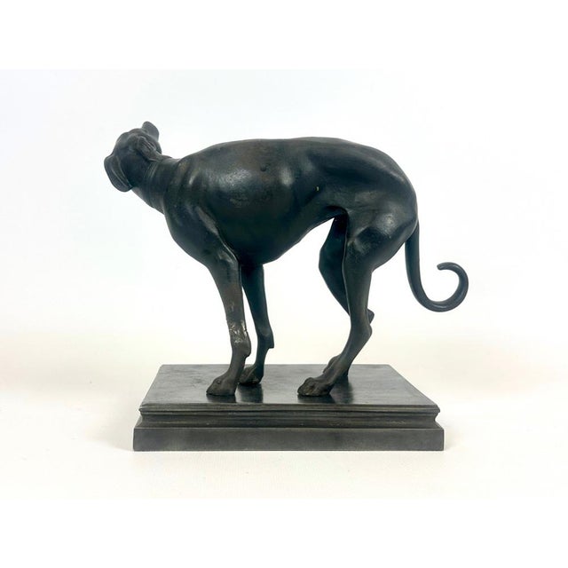 French Cast Iron Greyhound Figurine, 1900s, in Very Good conditions. Designed 1890 to 1919