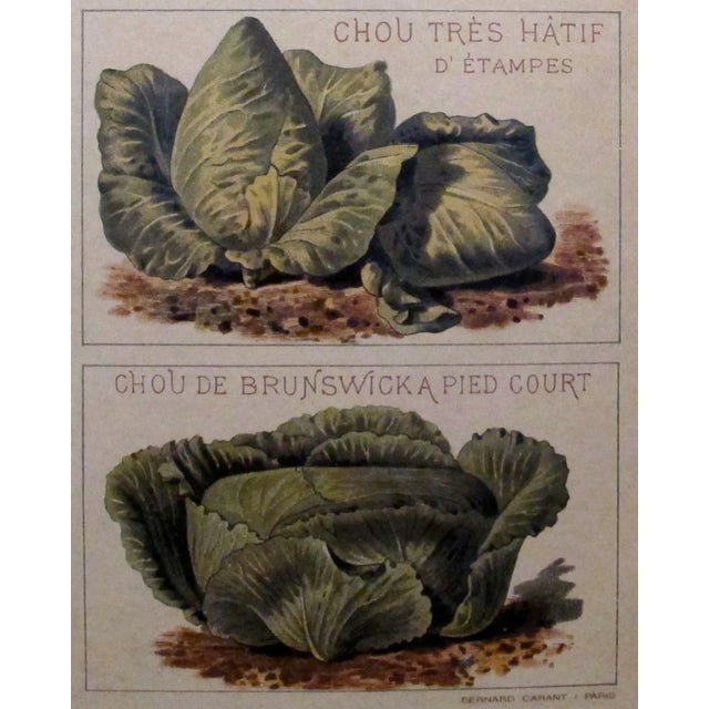 1900 Original French Vintage Vegetable Chart For Sale - Image 4 of 6
