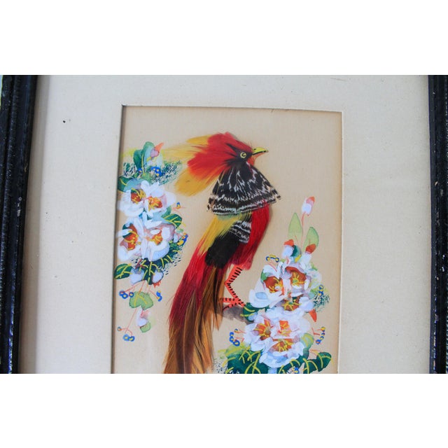 Vintage Mexican Feather Art Bird Wall Hangings For Sale - Image 9 of 12