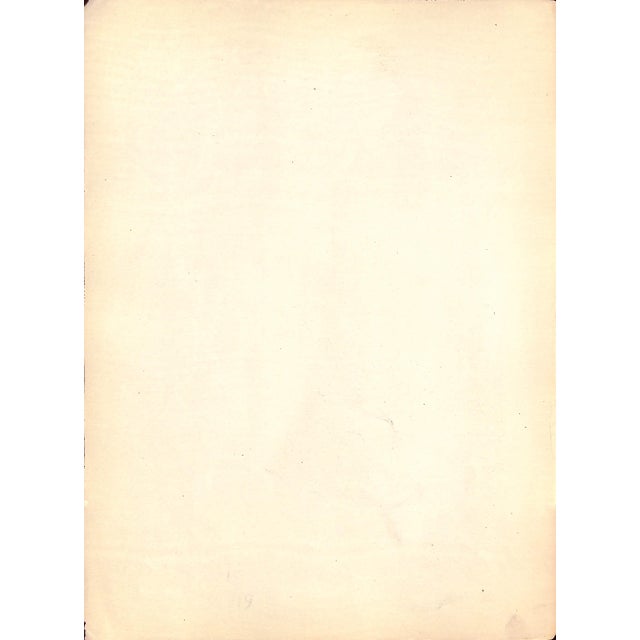 Traditional Mid 20th Century J. Leiter by Carlo De Fornaro Reproduction Print For Sale - Image 3 of 3