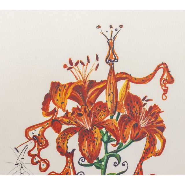 Contemporary Salvador Dali "Tiger Lily (Mustache)" Etching 1972 For Sale - Image 3 of 11