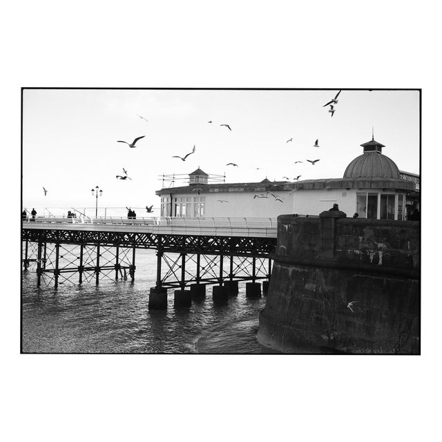 Paul Cooklin, Seagulls, Cromer Pier, Edition of 50 For Sale