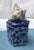 Natural History Collectors Large Bahamian Sea Shell Specimens For Sale - Image 11 of 12