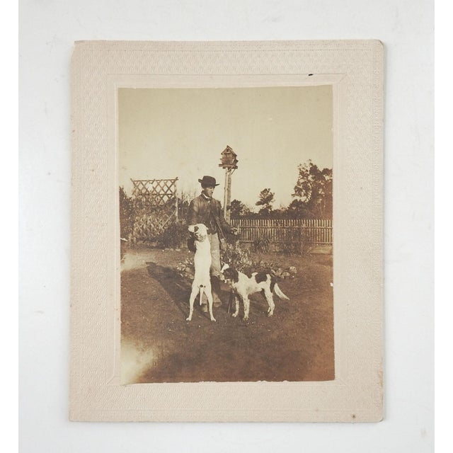 English Vintage Antique Albumen Photograph Man Hunting Bird Dogs Dovecote For Sale - Image 3 of 4