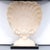 Grosfeld House Shell Console Table, Plaster & Wood, Hollywood Regency For Sale In Tampa - Image 6 of 8