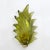Glass Italian Modern Murano Glass Leaf Sconces, 2000, Set of 2 For Sale - Image 7 of 9