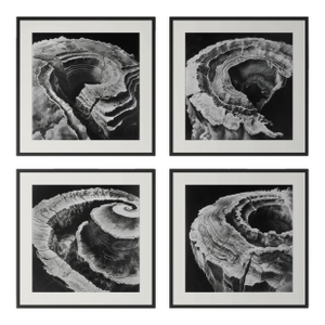 55" X 55" - Framed Art Wall Installation 'Relief Landscapes' - Set of 4 - Limited Edition Photograph Prints