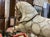Early 20th Century English Rocking Horse For Sale - Image 10 of 12