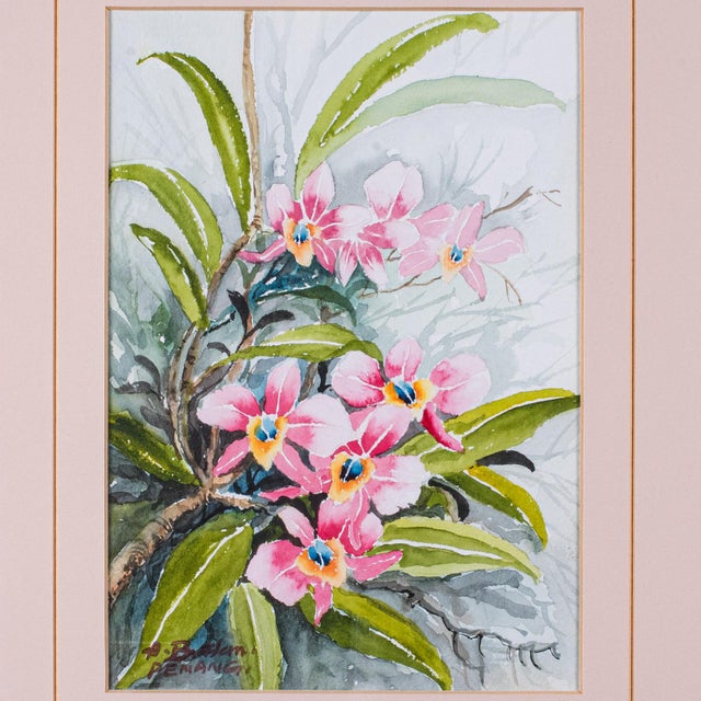 Glass Set of 4 Vintage Botanical Watercolour Pictures, Malaysian Art, Orchids, Framed For Sale - Image 7 of 12