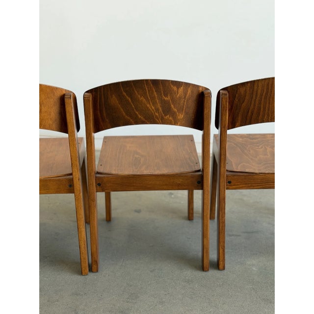 1970s German Plywood Dining Chairs- Set of Four For Sale - Image 13 of 18
