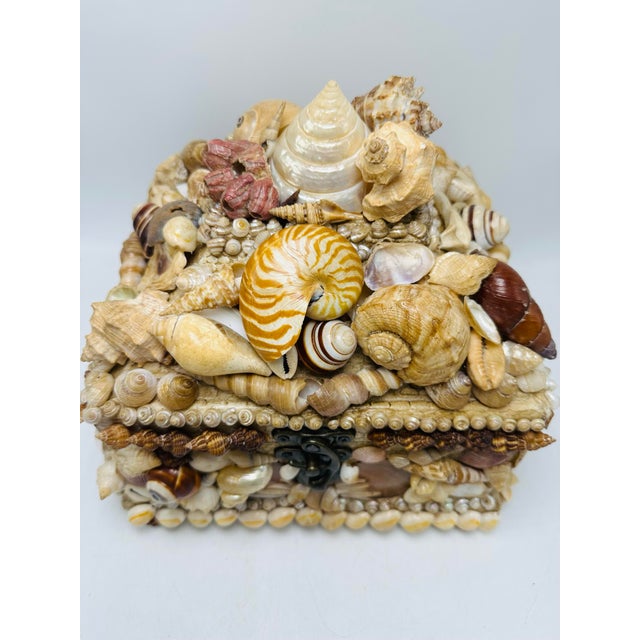 1970s Large Vintage Shell Box For Sale - Image 5 of 8