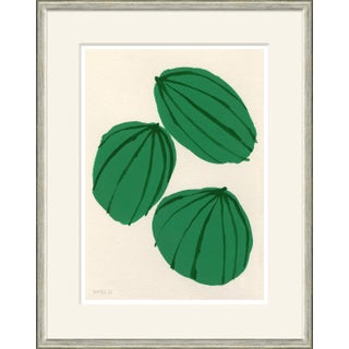 Melons Framed Art Print by Susan Hable For Sale