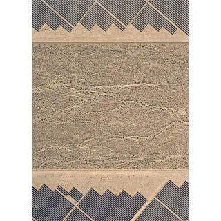 "AV_Solar_Plants_008" Contemporary Limited Edition Fine Art Photograph by Bernhard Lang For Sale