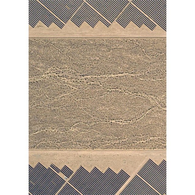 "AV_Solar_Plants_008" Contemporary Limited Edition Fine Art Photograph by Bernhard Lang For Sale