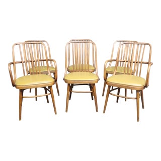 Thonet Attributed Mid Century Bentwood Chairs Set/6 For Sale