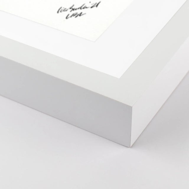 DESCRIPTION: Shells Diptych by Lia Burke Libaire in White Frame, XS Art Print SPECIFICATIONS: Type: Giclée Art Print on...