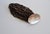 Vintage Monies Faux-Horn Bracelet by Gerda Lynggaard, 1990s For Sale - Image 11 of 14