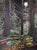 The Forest Never Sleeps by Deb Komitor | Oil on cradled board Night scene in a dense forest with moonlight. For Sale