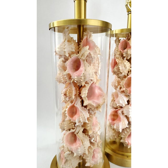 Lamps Signed Ralph Lauren Pair Shells Seashells Added For Sale - Image 10 of 18