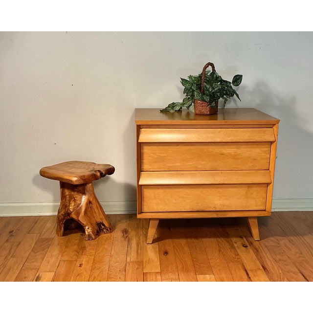 Birdseye Maple Natural Tree Stump Side Accent Table For Sale - Image 12 of 12