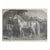 Antique 1860 Harpers Weekly Engraving Arabian Stallion For Sale