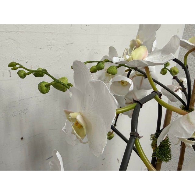 Blue Winward Home Orchid in a Fishbowl For Sale - Image 8 of 12