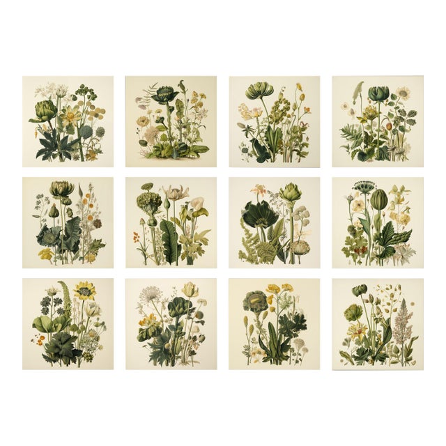 72' X 54' - Set of 12 Unframed Gallery Wall Installation Original Botanical Prints - Dark Green and Cream Background / Neutral Palette For Sale