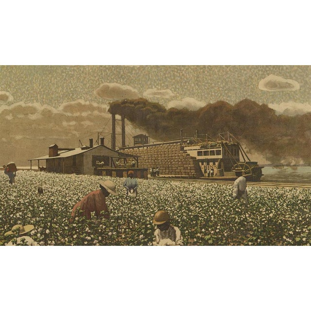 F.E. Wachsmuth, Schoolplate of a Cotton Field, 1900, Paper For Sale - Image 5 of 7