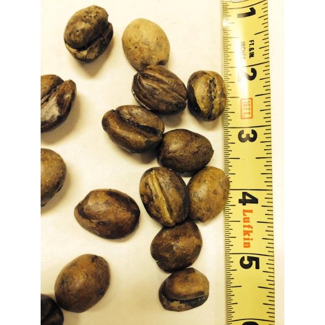 Pop Art 1980s Faux Coffee Beans - Pop Art -Hand Carved One of Kind Larger Than Life - Set of 12 For Sale - Image 3 of 5