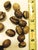 Pop Art 1980s Faux Coffee Beans - Pop Art -Hand Carved One of Kind Larger Than Life - Set of 12 For Sale - Image 3 of 5