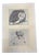 Pablo Picasso, Guernica Study, 1937, Offset Lithograph For Sale