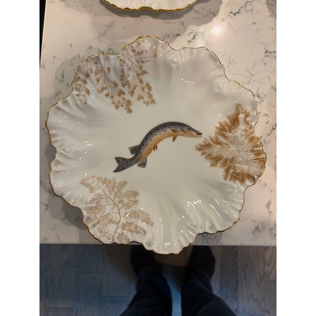 1900 - 1909 Antique Plates Limoges Gold Rimmed (14 Piece Set) For Sale - Image 5 of 17