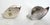 Silver Snail Salt Cellars Silver Plate Salt & Pepper For Sale - Image 8 of 8