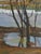Original Oil Painting, Ukrainian Landscape, Pokatayeva N. (1970) 50-38,5 For Sale - Image 4 of 6