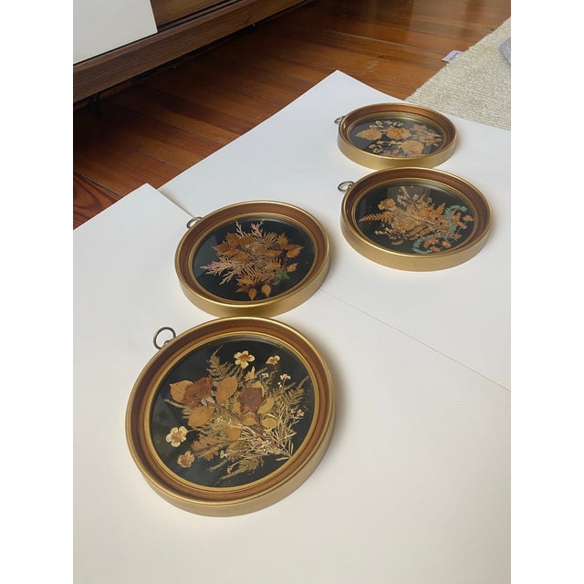 Mid-Century Modern Set of 4 Hand Crafted Framed Pressed Flower Art/Wall Decor For Sale - Image 3 of 12