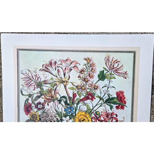 1970s 1970s Vintage Robert Furber October Botanical From "Twelve Months of Flowers” Pierpont Morgan Library Print For Sale - Image 5 of 10