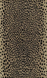 Example of New & Custom Atlanta