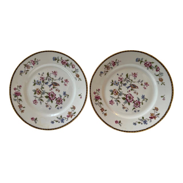 Pair of Vintage Indian Bird Haviland Porcelain Plates For Sale