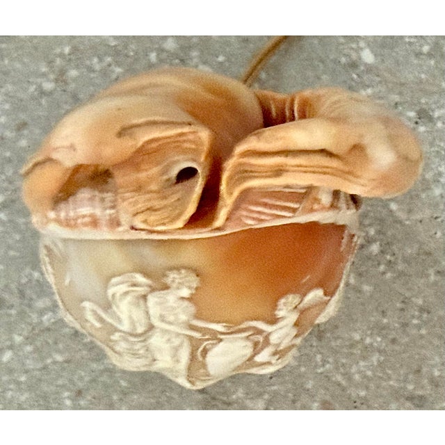 Early 20th Century Antique Italian Cameo Relief Hand-Carved Sea Conch Shell, Nautical Coastal Decor For Sale - Image 5 of 12