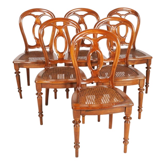 Antique Walnut Chairs with Vienna Straw Seats from Bassanos Ebanistery, 1890s, Set of 6 For Sale