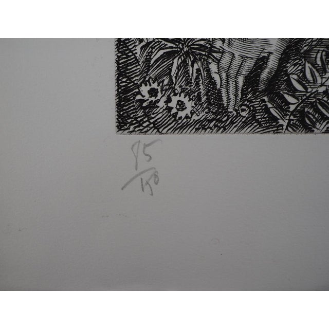 Modern Albert Decaris, Woman and Fauna, Original Engraving For Sale - Image 3 of 8