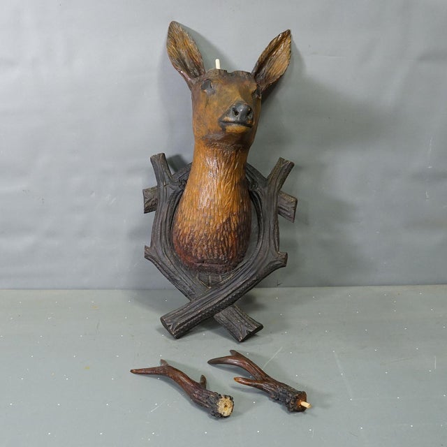 Large Naturalistic Black Forest Carved Deer Head, Ca. 1930s For Sale - Image 6 of 8