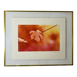 Greg Copeland Print Autumn Leaf | Large Glass Frame For Sale