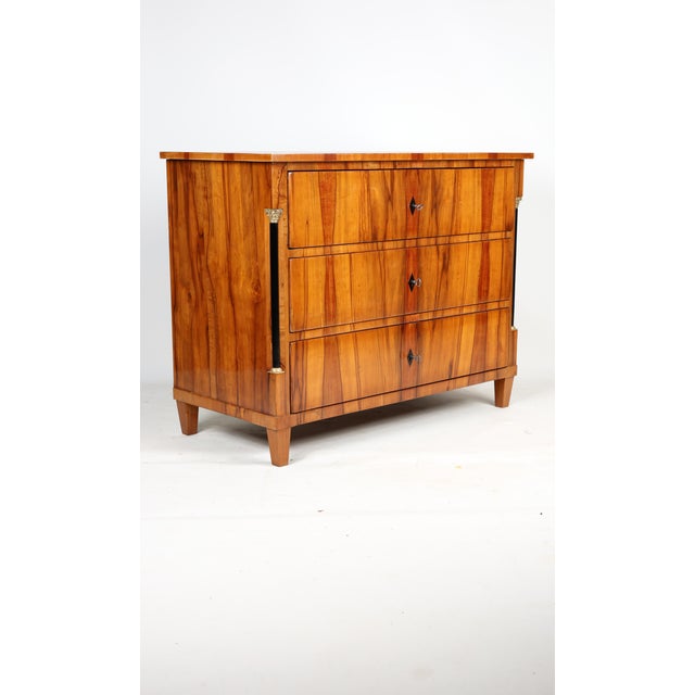 Early 19th Century Antique Biedermeier Chest of Drawers in Applewood, 1820 For Sale - Image 5 of 13