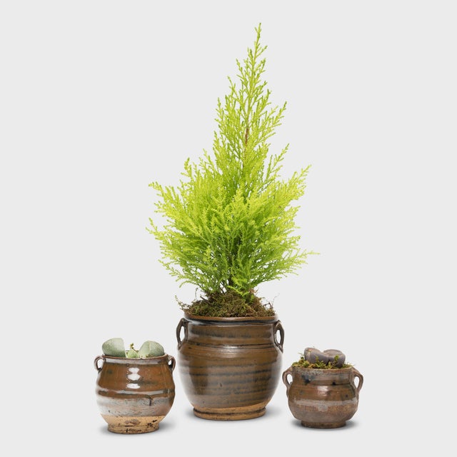 These petite glazed jars from China's Shanxi province exemplify the timeless appeal of handcrafted pottery. Once used in...